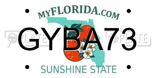 GYBA73 Florida License Plate