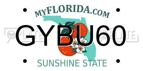 GYBU60 Florida License Plate