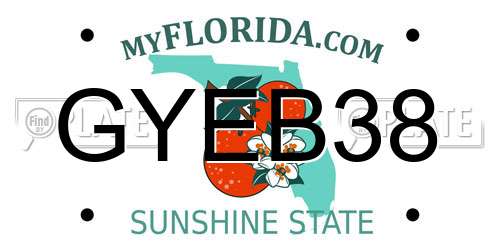 GYEB38 Florida License Plate