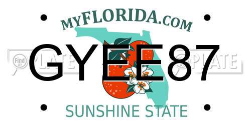 GYEE87 Florida License Plate