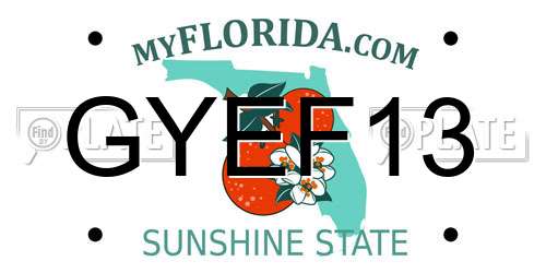 GYEF13 Florida License Plate