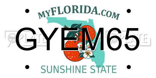 GYEM65 Florida License Plate