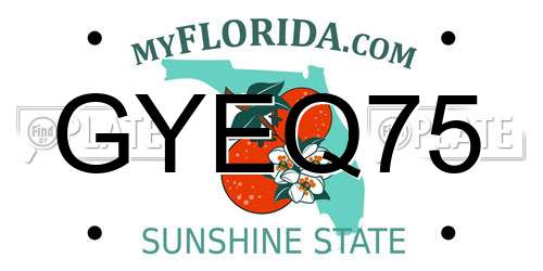 GYEQ75 Florida License Plate