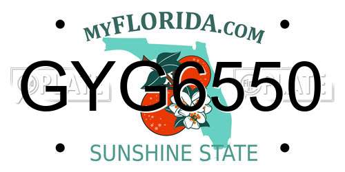 GYG6550 Florida License Plate