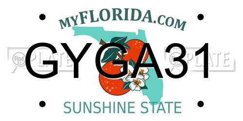 GYGA31 Florida License Plate