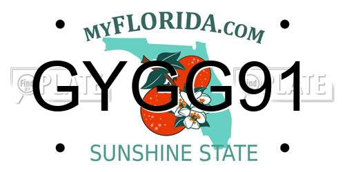 GYGG91 Florida License Plate