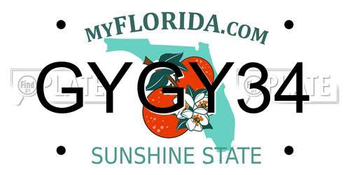 GYGY34 Florida License Plate
