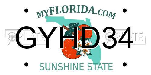 GYHD34 Florida License Plate