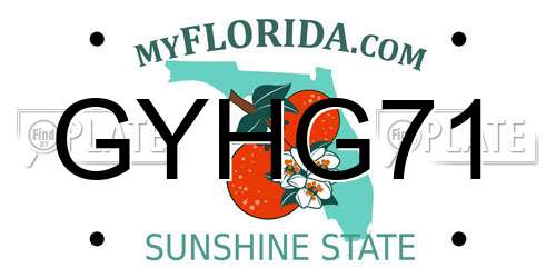 GYHG71 Florida License Plate
