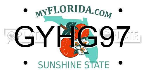 GYHG97 Florida License Plate