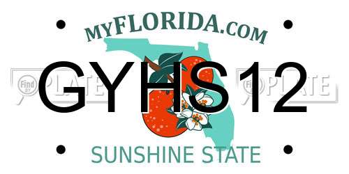 GYHS12 Florida License Plate