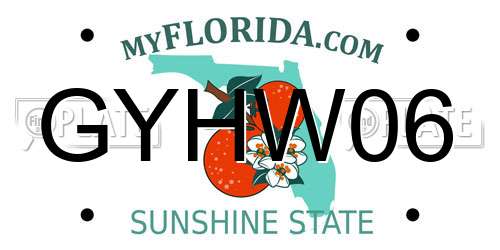 GYHW06 Florida License Plate