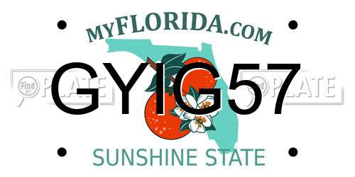 GYIG57 Florida License Plate