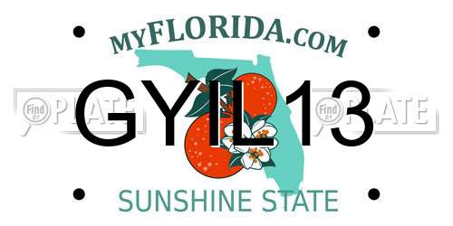 GYIL13 Florida License Plate