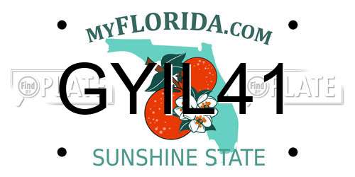 GYIL41 Florida License Plate