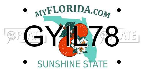 GYIL78 Florida License Plate