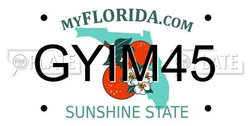 GYIM45 Florida License Plate