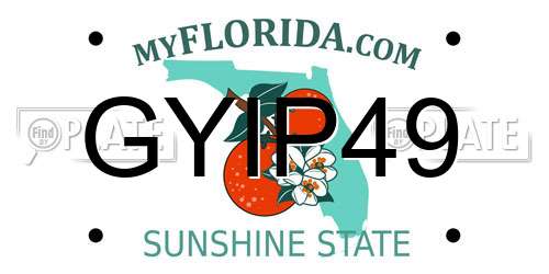 GYIP49 Florida License Plate