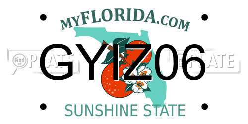 GYIZ06 Florida License Plate