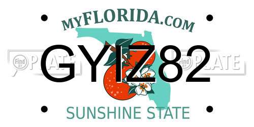 GYIZ82 Florida License Plate