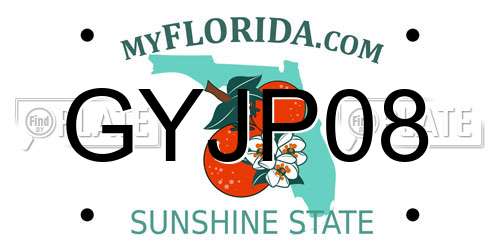 GYJP08 Florida License Plate