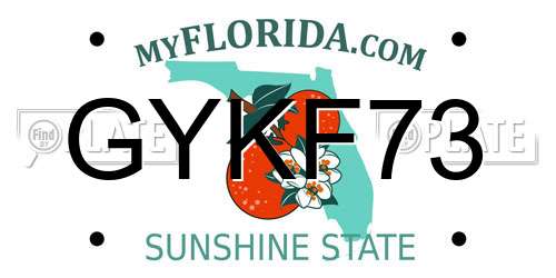 GYKF73 Florida License Plate