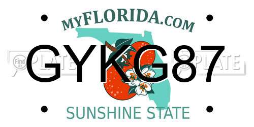 GYKG87 Florida License Plate