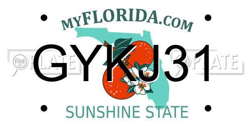 GYKJ31 Florida License Plate