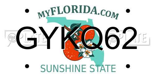GYKQ62 Florida License Plate