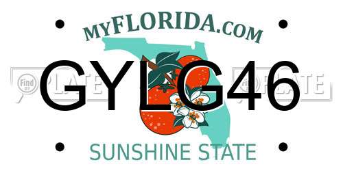 GYLG46 Florida License Plate