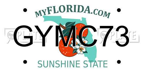 GYMC73 Florida License Plate