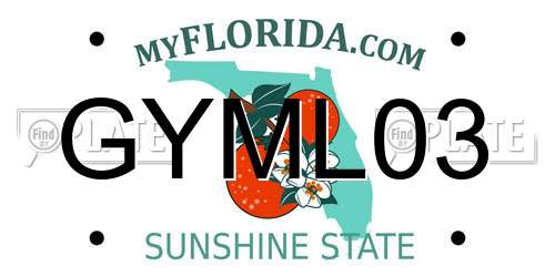 GYML03 Florida License Plate