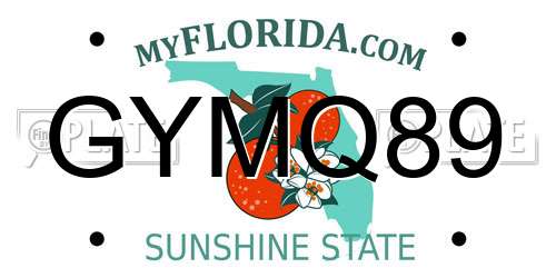 GYMQ89 Florida License Plate