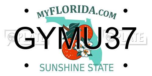 GYMU37 Florida License Plate