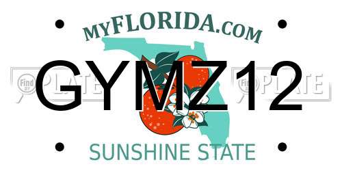 GYMZ12 Florida License Plate