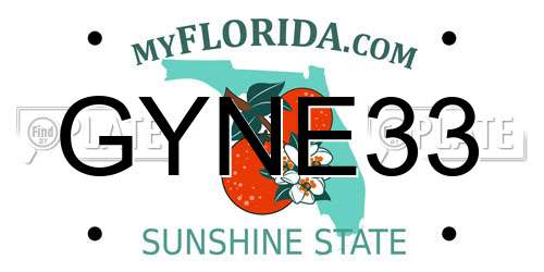 GYNE33 Florida License Plate