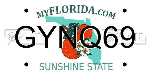 GYNQ69 Florida License Plate