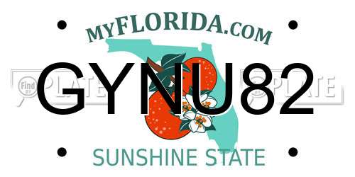 GYNU82 Florida License Plate