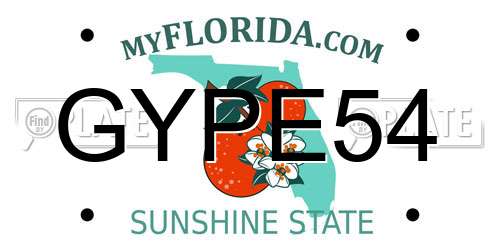 GYPE54 Florida License Plate