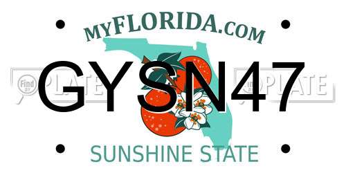 GYSN47 Florida License Plate