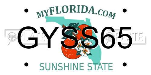 GYSS65 Florida License Plate