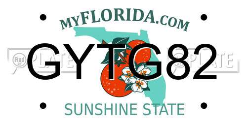 GYTG82 Florida License Plate
