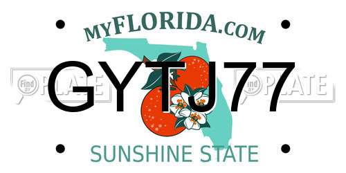 GYTJ77 Florida License Plate