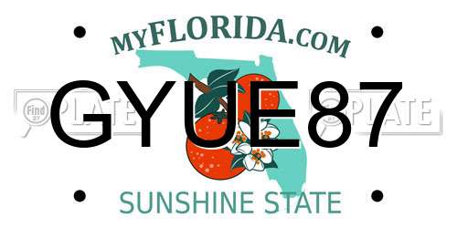 GYUE87 Florida License Plate