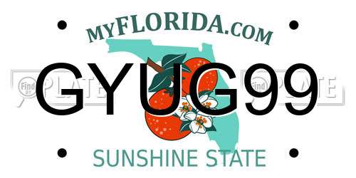 GYUG99 Florida License Plate
