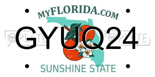 GYUQ24 Florida License Plate