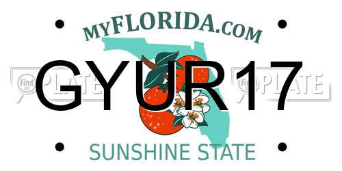 GYUR17 Florida License Plate