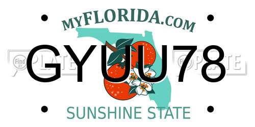 GYUU78 Florida License Plate