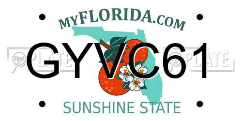 GYVC61 Florida License Plate