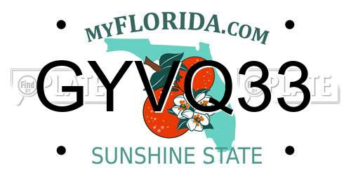 GYVQ33 Florida License Plate